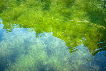 reflection in water