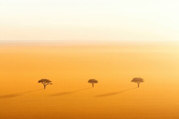 Fototapeta premium Golden horizon showcases distant trees casting long shadows in s
