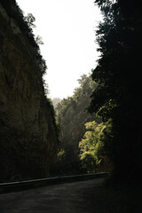 Carretera de montaña entre acantilados con bosque