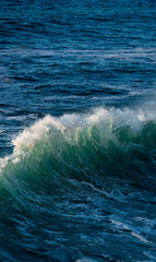 olas del océano rompiendo y salpicando