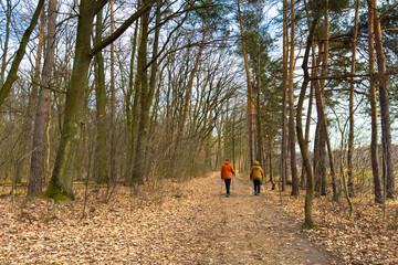 Seniors thriving in their golden years. Active lifestyle. Nordic walking in the park of couple...
