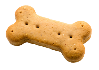 dog biscuits isolated on white background