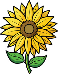 Fototapeta premium sunflower with leaf