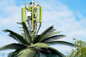 A cell phone mast disguised as a fake palm tree against the sky. Copy space.