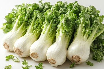 Fresh Fennel Bulbs with Green Leafy Tops