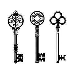 set of keys vector