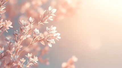 Delicate Spring Blossoms in Soft Sunlight
