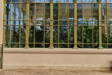 Lush green plants growing inside ornate greenhouse windows