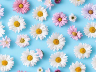 Obraz premium A Seamless Pattern of White, Pink, and Purple Daisies with Yellow Centers on a Light Blue Background