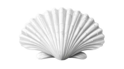 Decorative white shell display home decor sculpture indoor minimalist style