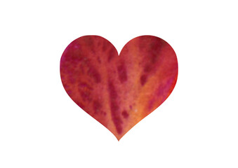 Fototapeta premium the petal heart is painted in watercolor. Hand painted watercolor hearts. Isolated objects perfect for Valentine's day card or romantic postcards