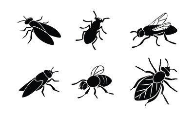 Silhouette Collection of Insects: Diverse Bug Designs in Black