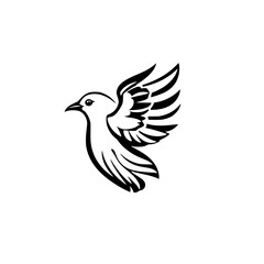 Elegant Black and White Dove in Flight: A Symbol of Peace and Freedom