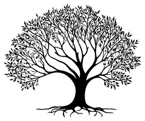 A finely detailed tree silhouette, with delicate branches and leaves, designed in a sophisticated style. Transparent background