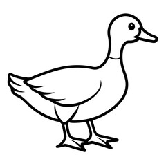 Simple black and white line drawing of a duck.