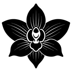 orchid black silhouette vector, Simple silhouette Design vector icon with white background