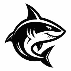 SHARK IMAGE