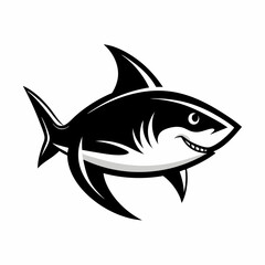 SHARK IMAGE