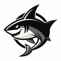 SHARK IMAGE