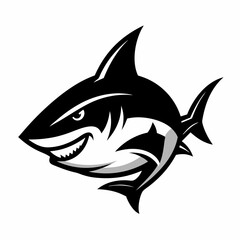 SHARK IMAGE