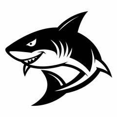 SHARK IMAGE