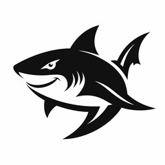 SHARK IMAGE