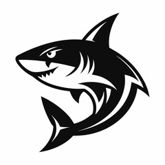 SHARK IMAGE