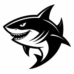 SHARK IMAGE