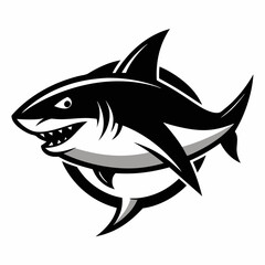 SHARK IMAGE