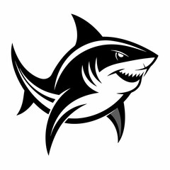 SHARK IMAGE