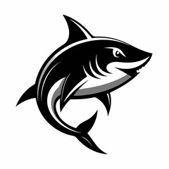 SHARK IMAGE