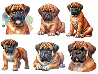 Obraz premium Colorful illustrations depict a Bullmastiff in various poses, highlighting its friendly demeanor and distinct features. Each drawing captures the dog's charm and personality.