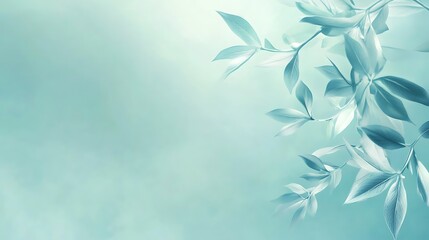 Serene Aqua Leaves Branch Soft Background