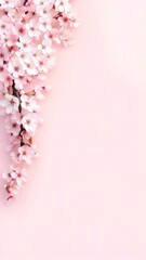 Obraz premium Delicate Cherry Blossoms on Soft Pink Background with Copy-Space