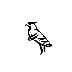 Majestic Hawk: Black and White Bird of Prey Vector Illustration. Perfect for logo, emblem, or design projects.  A stylized graphic of a powerful raptor in flight.