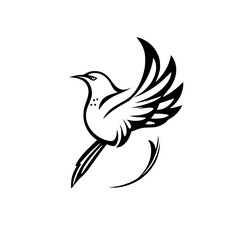 Fototapeta premium Elegant Black and White Bird in Flight: A Symbol of Freedom and Grace. Perfect for nature lovers and design enthusiasts.