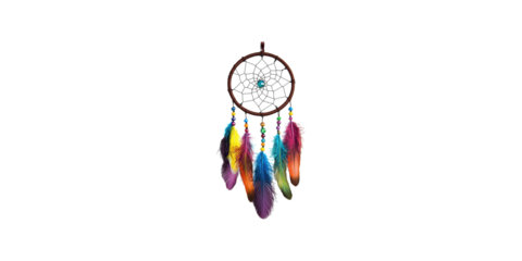 Colorful dreamcatcher with feathers isolated on transparent background
