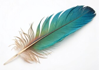 Fototapeta premium Vibrant Macaw Parrot Feather Bird, Isolated on White Background - Stunning Drone Photography