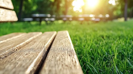 Fototapeta premium a wooden bench sitting in the middle of a lush green field, surrounded by trees and illuminated by the warm light of the setting sun The background is slightly blu