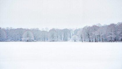 Pristine winter landscape with untouched snow and barren trees, tranquility