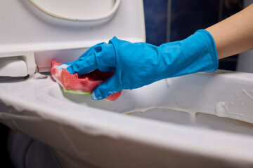 Cleaning the Toilet Essential Sanitation Practices for Maintaining a Healthy Home Environment