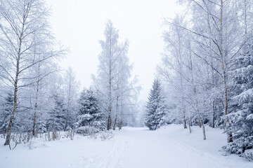 Fototapeta premium Karkonosze National Park in winter, Poland