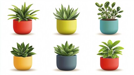Obraz premium Diverse Array of Six Potted Houseplants for Home Decor