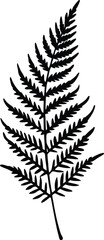 Obraz premium Black and White Fern Leaf Silhouette Botanical Illustration