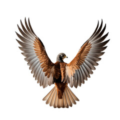 Naklejka premium Artistic Bird with Open Wings Isolated on Transparent Background.