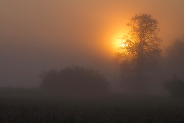 Wschód słońca, mglisty poranek © Michal Przystas