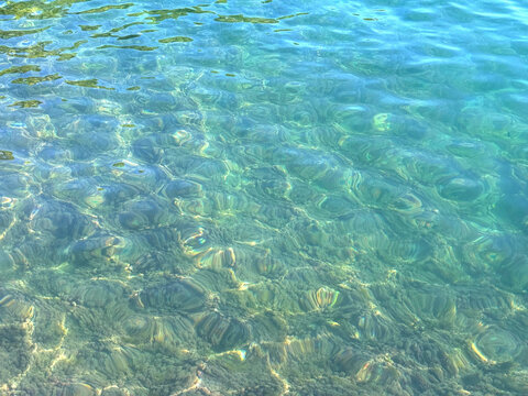 Transparent sea water with algae at the bottom