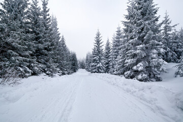 Karkonosze National Park in winter, Poland