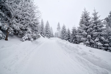 Obraz premium Karkonosze National Park in winter, Poland