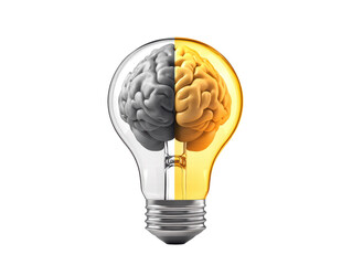 Isolated Light Bulb with Brain Halves